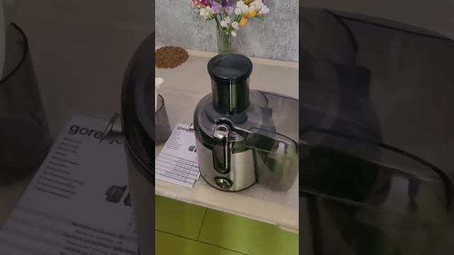 19 марта 2024 г.