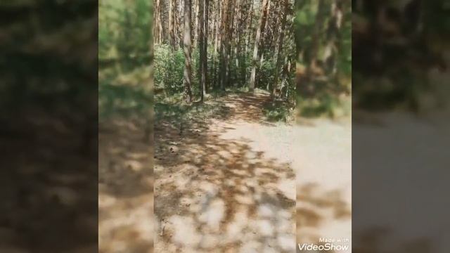 Я научилась просто мудро жить #поэзия #стих #стихи #стихиожизни #красивыестихи #стихиахматова