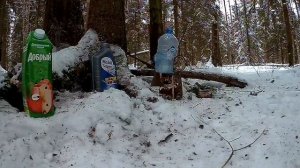 Стрельба из карабина Мосина и ТОЗ-106