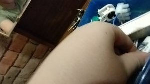 Моя коллекция