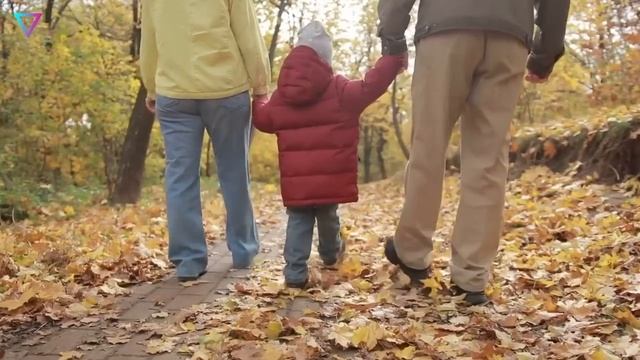 ▽ Парадоксы и человеческие странности
