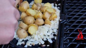 Combiné Plancha et Grille WEBER