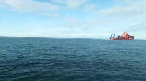 У берегов Сахалина спасли панамский сухогруз "Меркурий Оушен"