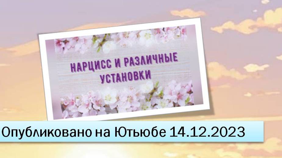 Нарцисс и различные установки (14.12.2023)