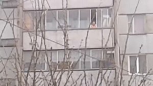 Голый мужик