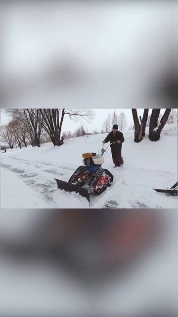 Чистка снега мотоблоком на гусеницах. #русскоеранчо #мотоблок