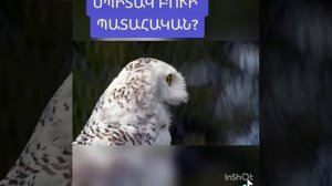 Примета про сову☯🌳🌼🔥