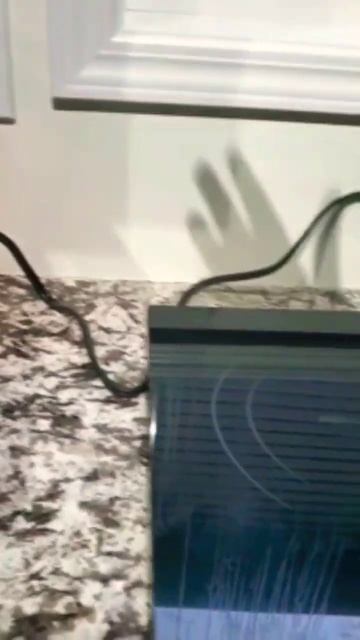 #inductioncooktop Unboxing and Testing My New Master Chef