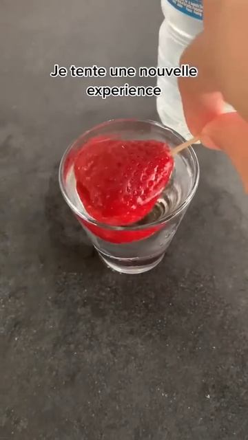 Expérience fraises congelées 🍓 смотреть онлайн