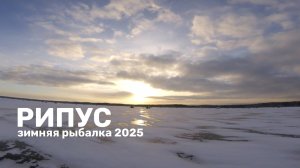 ЗА 800 КМ ОТ ДОМА/ОЗЕРО УВИЛЬДЫ/РИПУС/ЗИМНЯЯ РЫБАЛКА 2025