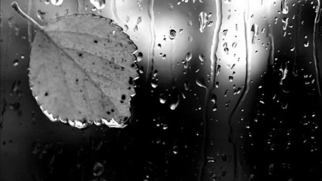 Елена Камбурова Дождик осенний смотреть онлайн