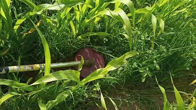 Прополка / Сапка мотокосою смотреть онлайн