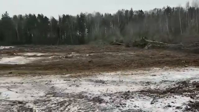 Выкорчевка деревьев трактором т-150.