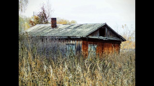 Ишановское оз. Мой друг пёс. Лужа. Болота осушат - ч 2