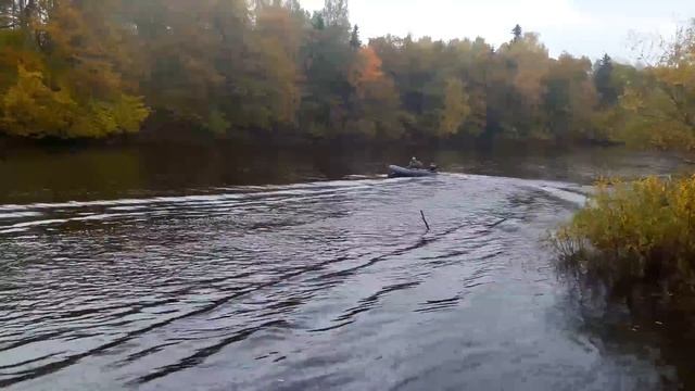 меркурий 5 лошадей смотреть онлайн