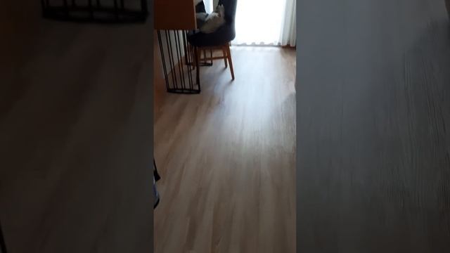 Рум тур по номеру отеля Sea Life(Анталия) смотреть онлайн