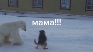 МАМА