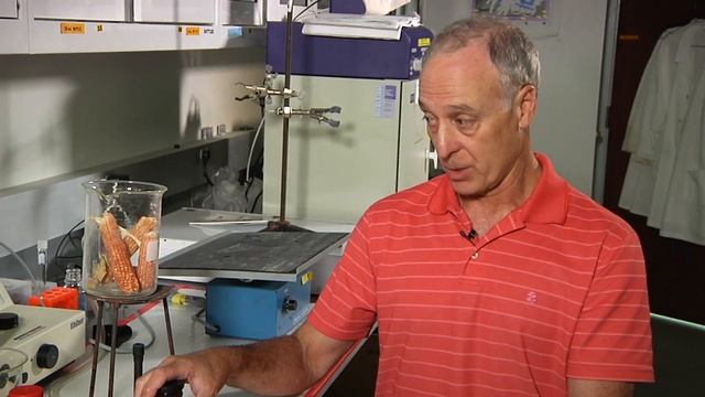 NUtech Innovator of the Year: Paul Blum смотреть онлайн