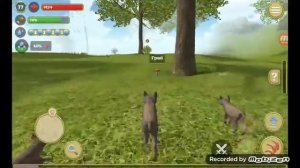 Играю в симулятор кота и кошки.