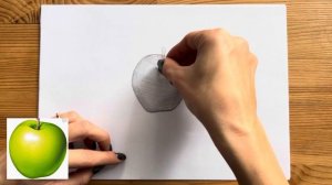 Как нарисовать яблоко карандашом | Рисунок и схема для начинающих поэтапно