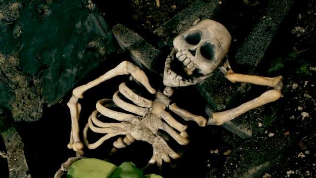 FOX "Belly of the Beast" (feat. m.bunio.s)(Official Audio) смотреть онлайн