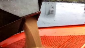 Погрузка зерна