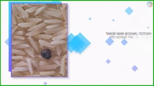 7 мифов о вреде белого риса