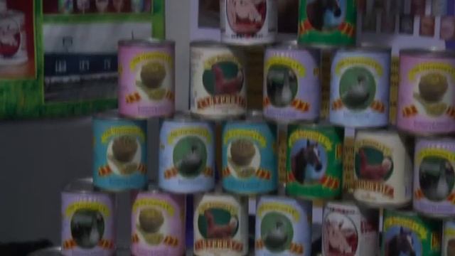 07.10.16. "Қызылжар Инвест 2016 " форумы СҚО жасалған өнімдердің көрмесінен басталды. смотреть онлайн