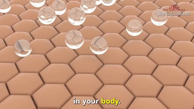 Unlock Youthful Glow: Collagen-Boosting Foods for Radiant Skin | Glowing Skin | Dr. Hansaji