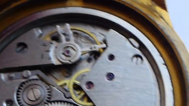 CARDI VOSTOK CAPITAN смотреть онлайн