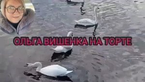 ОЧЕНЬ СТРАШНО ЗА ЛУНУ! VREDINA LIFE. ОБЗОР.