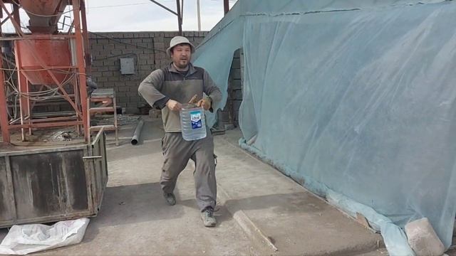 Ташкент. Стерелизация , это главная цель. Прошу помощи на оплату !