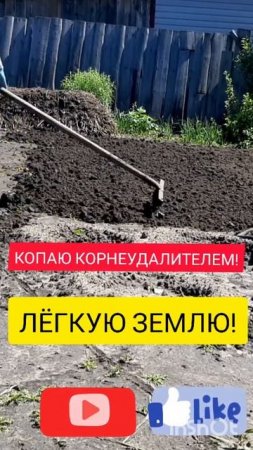 Копаю КОРНЕУДАЛИТЕЛМ❗