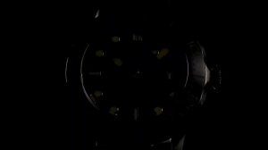 PAGANI DESIGN BENYAR PD-1667 Watch