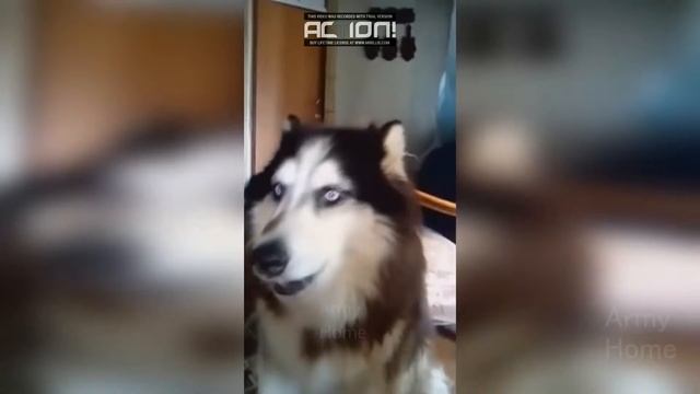 Action Пт 10 05 19 16 20 27 смотреть онлайн