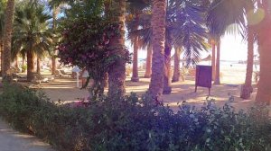 Brayka Bay Resort 5 - Єгипет, Марса Алам, пляж