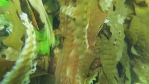 И ТОЛЬКО МОРЕ ВОДЫ!