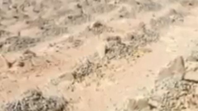Смерть Разрушительница Наслаждений)