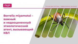 Borrelia miyamotoi – важный и недооцененный этиологический агент, вызывающий КВЛ