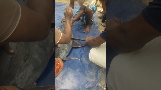 Big Baghair Fish Cutting In Village |120 Kg Weight | River Monster Catfish | #AmazingFishing Cut