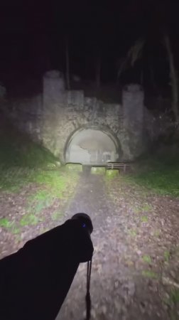 Was ist das für ein GEHEIMER TUNNEL ☠️ im Wald 🌳#wald #draußen #nachts #unheimlich #tunnel #bunker