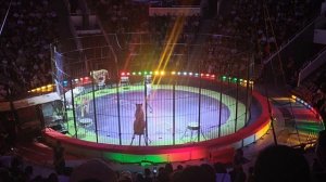 Цирк. Выступление тигров и Колесо Смерти/Смелости