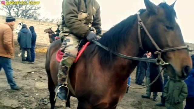 Аспбозор Спитамен Нов.Аспхои Бехтарин Баромадаст.