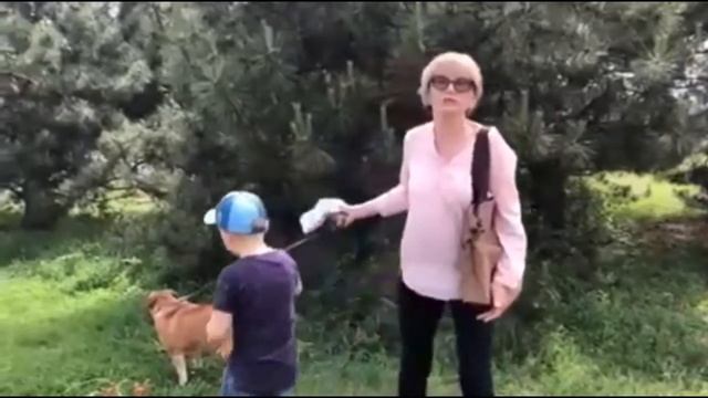 Дай Лапу Друг Запорожье прогулка с собачками смотреть онлайн