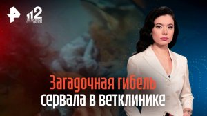 Скандал вокруг загадочной смерти сервала в ветклинике разгорается в Москве / РЕН