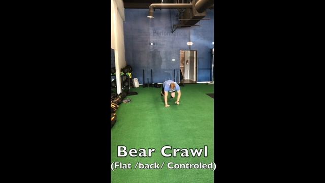 MAPS Dynamic Warm-UP смотреть онлайн