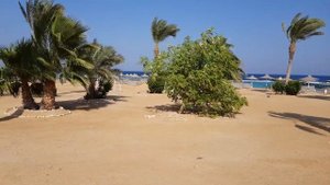 Wadi Lahmy Azur Resort   (4K)