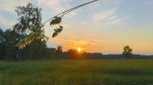 Стих о любви "Неразделенная любовь"