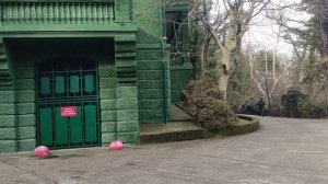Сочи, Мацеста и санаторий зелёная роща, навагинская вечером 05-02-2025
