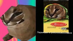 ТЫ СТАЛ: шлёпа грустные лица